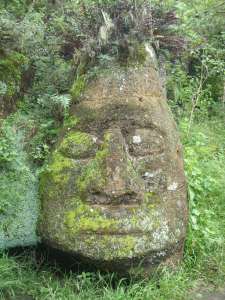 Floreana - head carving