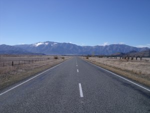 Novel - a stretch of road with no small, furry corpses