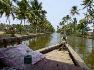 I fed him a couple of sugar cubes after 20 minutes